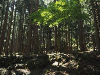 廃村灰野.jpg