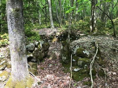 炭焼き窯（上水晶谷右岸）