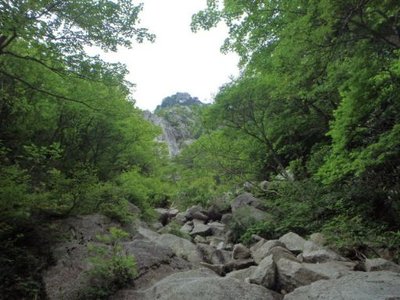 ヤグラに向かう沢筋