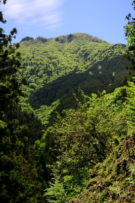千秋社から見た千秋峯