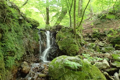 ちょっと良くなったかと思えば・・・