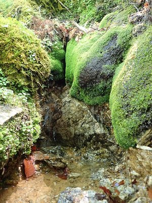 ヒョットして、パイプ挿せるかなぁ
