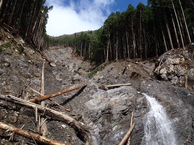 造林小屋の先の大崩落。