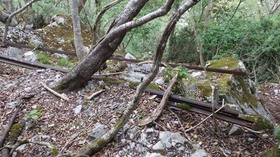 軌道跡に残るレール