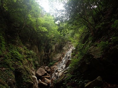 最初の滝.jpg (357.1 KiB) 閲覧された回数 6590 回 最初の滝