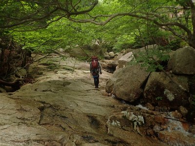 滑滝.jpg (322.24 KiB) 閲覧された回数 6585 回 滑を行く