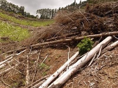 20190609-14.jpg (207.53 KiB) 閲覧された回数 4268 回 工事前