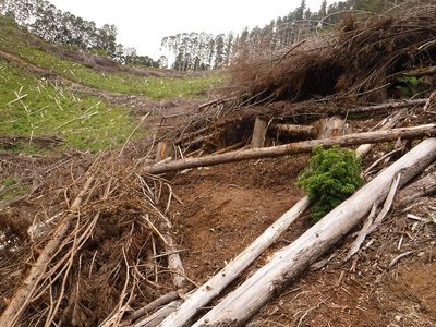 20190609-15.jpg (182.42 KiB) 閲覧された回数 4268 回 工事後