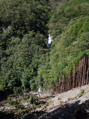 夫婦滝の滝壺に土砂・倒木。