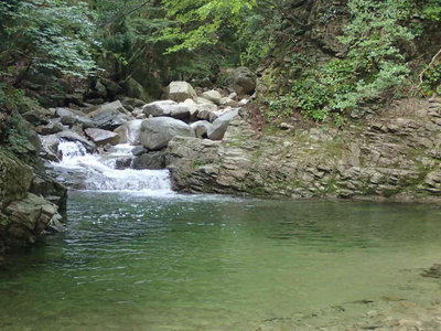 P6130024.jpg (91.49 KiB) 閲覧された回数 3919 回 エメラルドグリーンの淵