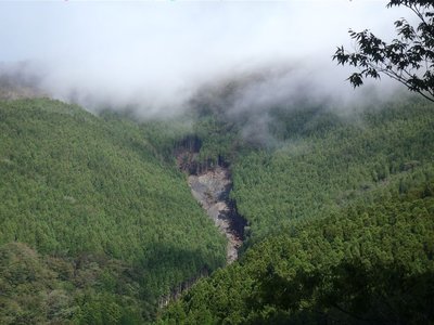 林道から遠望した造林小屋の先の大崩落。