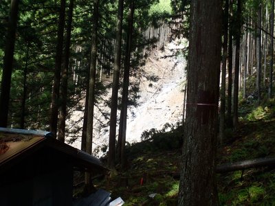 造林小屋の向こう。