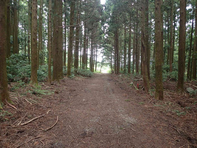 P6180039.jpg (108.24 KiB) 閲覧された回数 3198 回 旧東海道鈴鹿峠