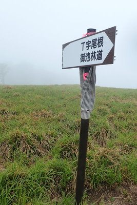 今は間違えようがありません