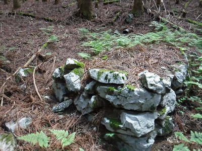 開墾地の石積みと土管