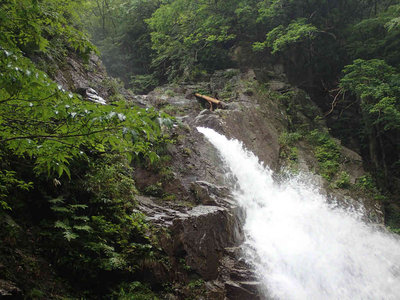 sP6220026.jpg (88.82 KiB) 閲覧された回数 3172 回 水量が多い元越大滝