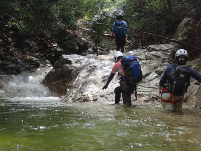 sP6220037.jpg (97.3 KiB) 閲覧された回数 3168 回 元越谷のハイライト