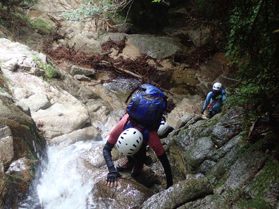 sP6220077.jpg (99.63 KiB) 閲覧された回数 3172 回 びいちゃんの滝登り