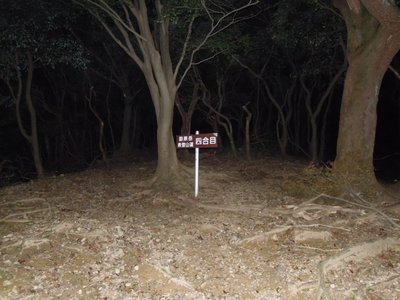 フラッシュを焚いて撮影