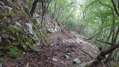 P6020351.jpg (229.53 KiB) 閲覧された回数 5152 回 水平軌道跡