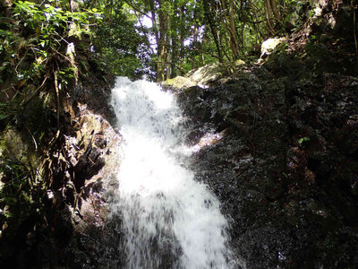 P7080021.jpg (105.94 KiB) 閲覧された回数 2597 回 核心の10m滝