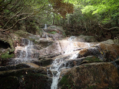 P7080077.jpg (115.04 KiB) 閲覧された回数 2597 回 大ナメ