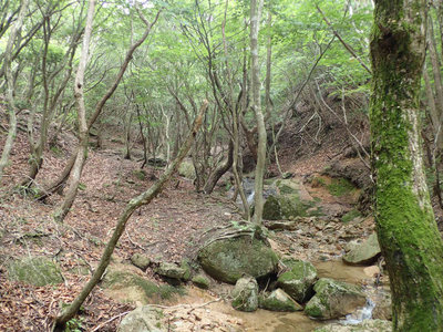 P7080089.jpg (129.82 KiB) 閲覧された回数 2594 回 気持ちのいい源流部