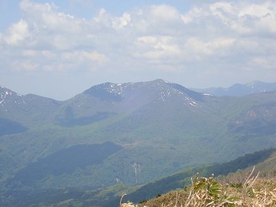 正面右ピークが野伏。そこから左にカーブしながらダイレクト尾根が下がってくる。真ん中小さく地面が見える平らなところが牧場跡。その左下の黒っぽいのは植林。たしかに下の林道沿いは植林だった。右奥には経ヶ岳