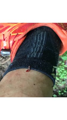 9D95959B-EBB9-4015-ADF5-0C30DE88EFE8.jpeg (72.21 KiB) 閲覧された回数 5059 回 途中で数えるのやめた!