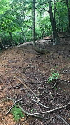 情報通りワイヤーやレールの残骸が！