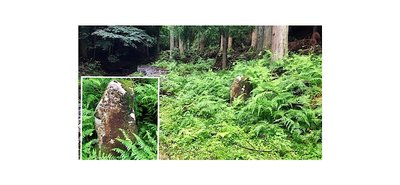 425BF7A0-2F3D-4366-BBEA-2F7677170197.jpeg (100.94 KiB) 閲覧された回数 3940 回 是より杉坂八丁 みのいせ道 って書いてるらしい