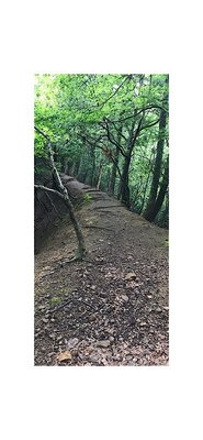 82AA2F5A-714C-4158-B4B3-03E736A04348.jpeg (102.79 KiB) 閲覧された回数 3938 回 大好きな雰囲気