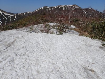 このヘンが一番しっかり残ってましたね