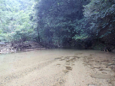 P7150002.jpg (86.07 KiB) 閲覧された回数 3033 回 美しい石谷川