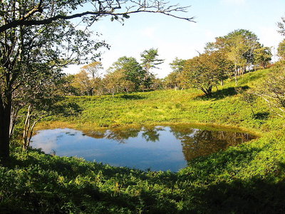 ● ハート形になってたワン