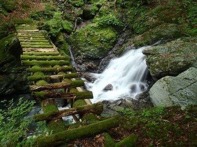 この橋はまだ残っていましたか？