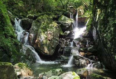 20190729-P7291629.jpg (159.74 KiB) 閲覧された回数 2009 回 四国の渓で