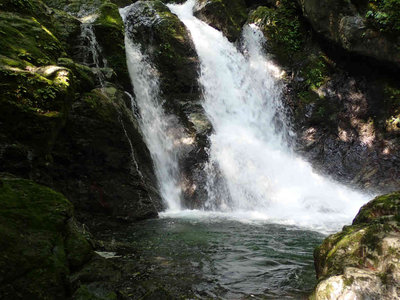 P7310007.jpg (77.46 KiB) 閲覧された回数 1920 回 取水堰堤上流の大滝