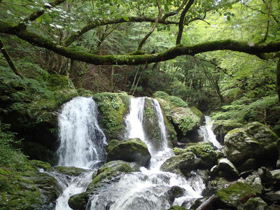 P7310155.jpg (113.87 KiB) 閲覧された回数 1921 回 3条の滝