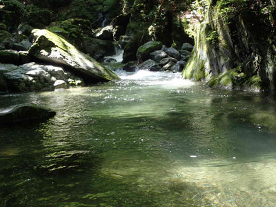 P7310161.jpg (83.36 KiB) 閲覧された回数 1921 回 美しい流れ