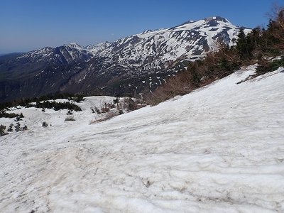 チブリ尾根上部.jpg (107.48 KiB) 閲覧された回数 4172 回 白山はキレイだけど、足元が滑るといやらしい