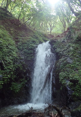 この滝でしょうか