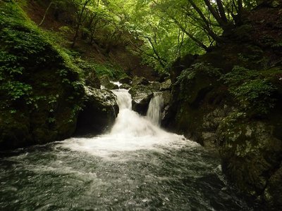 グー沢行でシューさんが泳いだ釜