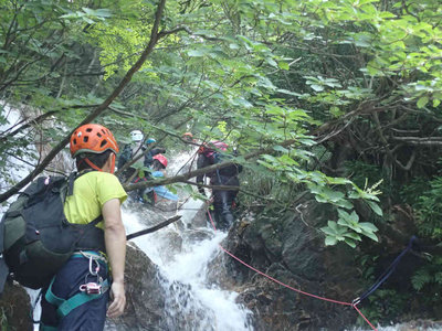 P8040026.jpg (94.2 KiB) 閲覧された回数 3799 回 先行グループ