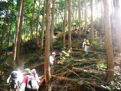 ● 上を目指して