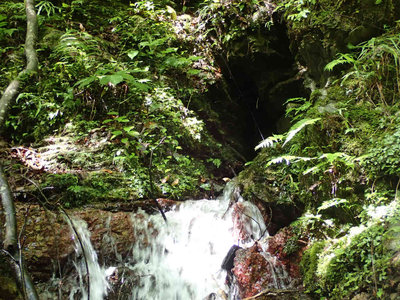 P8070029.jpg (133.7 KiB) 閲覧された回数 2354 回 湧き水