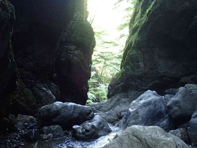 P8210018.jpg (51.63 KiB) 閲覧された回数 2795 回 イガミ滝落ち口