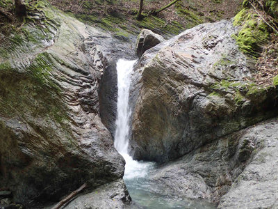 鶴小屋滝近くの5m滝
