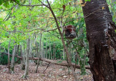 20091025-PA250091.jpg (191.84 KiB) 閲覧された回数 3754 回 10年前にはまだ存在した