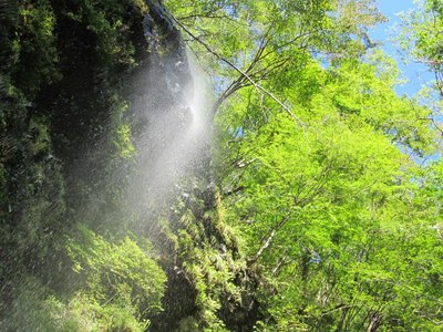 左股に<br />左股に掛かる滝